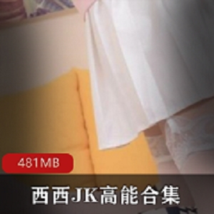 快手西西JK美腿精编版高能名场面，481MB视频让你心动不已！